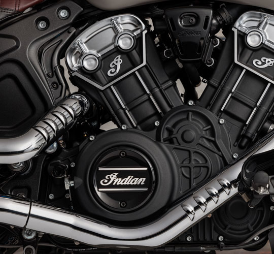 95 paarden. Ontketend.